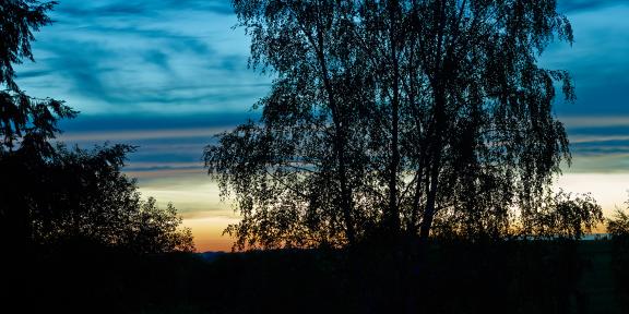 Sonnenuntergang hinter den Bäumen