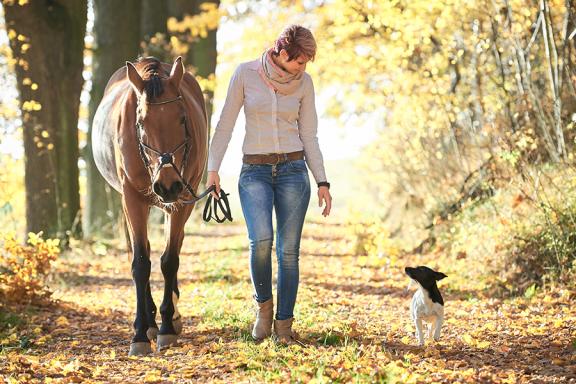 Mit Hund und Pferd spazieren